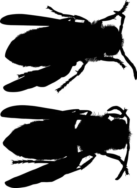 Illustration Wasp Silhouettes Isolated White Background — Vector de stock