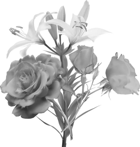 Illustration Mit Grauen Lilie Und Rosenblüten Isoliert Auf Weißem Hintergrund — Stockvektor