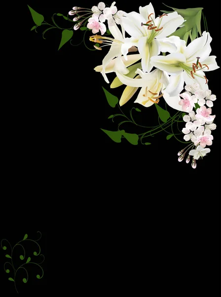 Иллюстрация Белыми Цветами Лилии Изолированы Черном Фоне — стоковый вектор