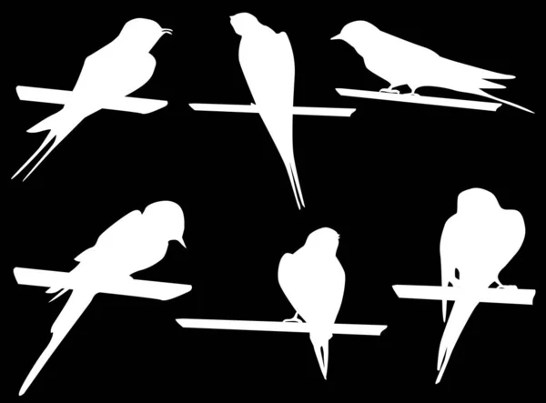 Illustration Swallows Collection Black Background — Stock Vector