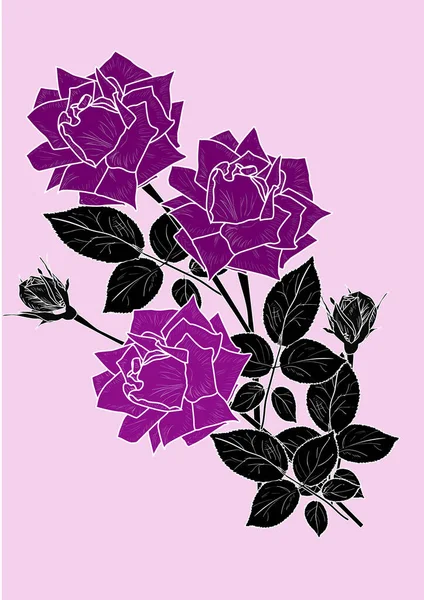 Illustrazione Con Mazzo Rose Schizzo Isolato Sfondo Rosa — Vettoriale Stock