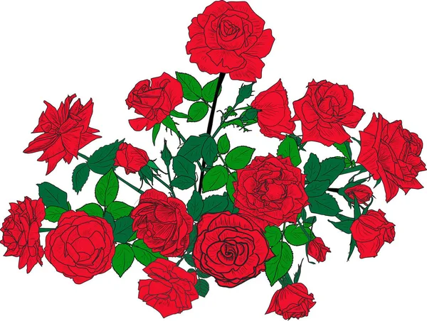 Ilustración Con Flores Rosas Aisladas Sobre Fondo Blanco — Vector de stock