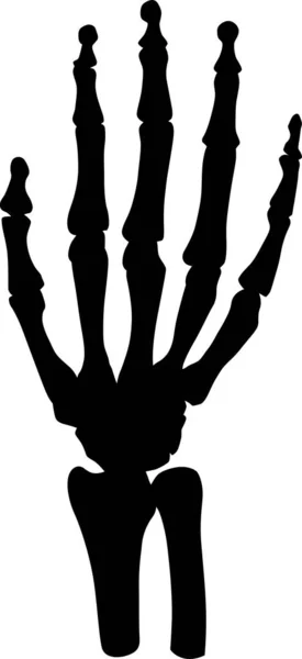 Illustration Human Hand Skeleton Isolated White Background — Stock Vector