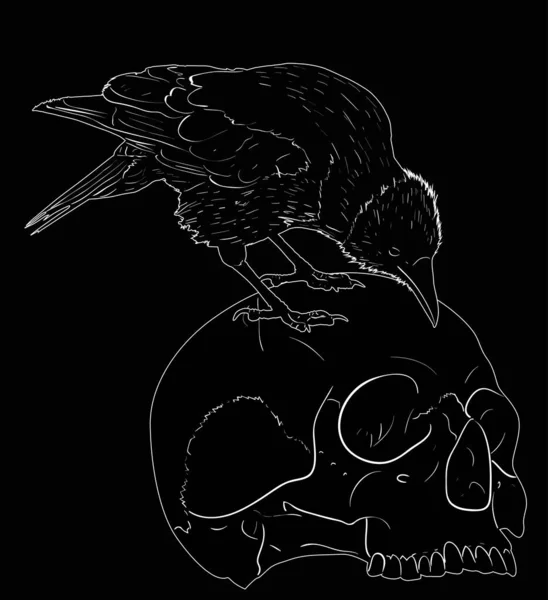 Illustration Raven Human Skull Isolated Black Background — 스톡 벡터