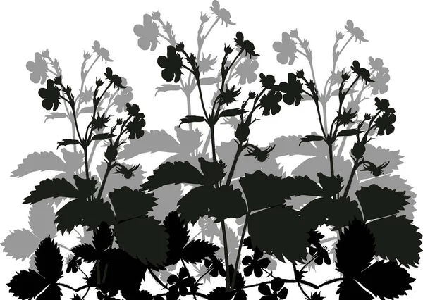 Ilustracja Truskawka Roślina Sylwetki Izolowane Białym Tle — Wektor stockowy