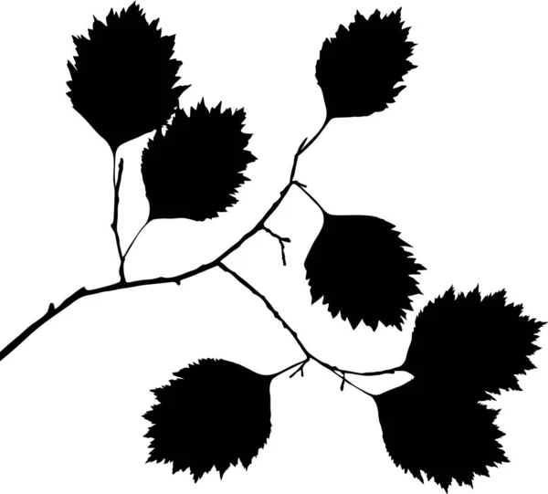 Απεικόνιση Κλαδί Δέντρου Απομονωμένο Λευκό Φόντο — Διανυσματικό Αρχείο