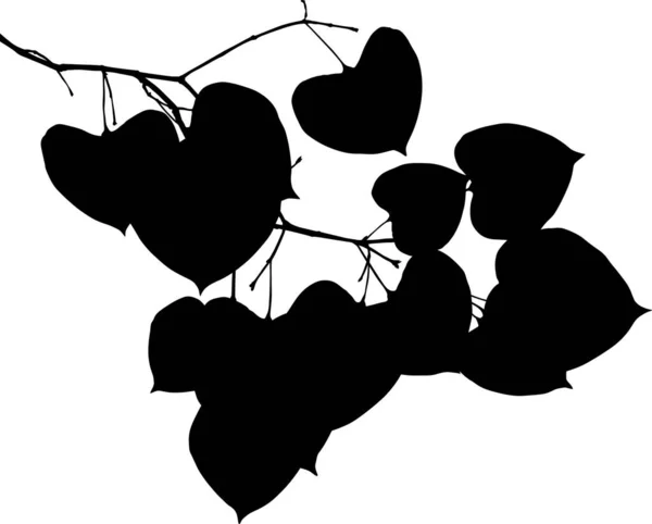 Illustration Avec Branche Arbre Isolée Sur Fond Blanc — Image vectorielle