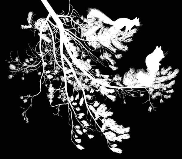 Illustratie Met Eekhoorns Dennenboom Tak Geïsoleerd Zwarte Achtergrond — Stockvector