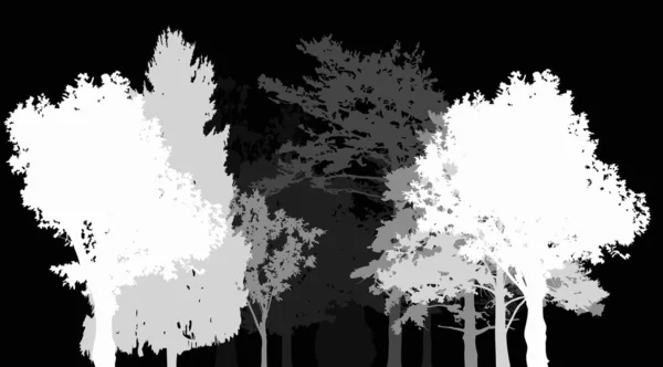 Illustrazione Con Foresta Grigia Isolata Sfondo Nero — Vettoriale Stock