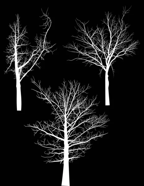 黒を基調とした白い裸の木のシルエットのイラスト — ストックベクタ