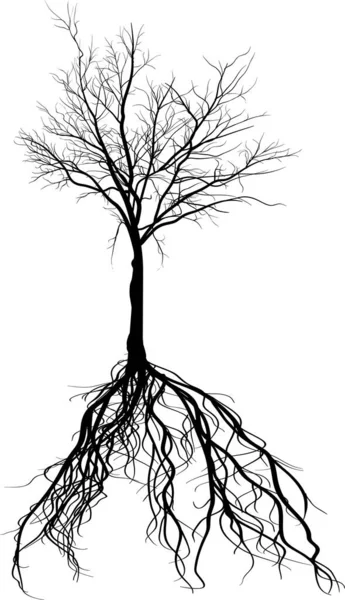 Illustration Med Svart Stora Träd Siluett Isolerad Vit Bakgrund — Stock vektor