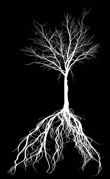 Illustration Avec Grande Silhouette Arbre Blanc Isolé Sur Fond Noir — Image vectorielle