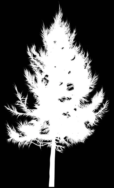 Illustration Larch Tree Silhouette Isolated Black Background — стоковый вектор