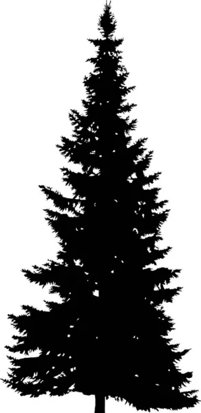 Illustration Mit Tannenbaum Silhouette Isoliert Auf Weißem Hintergrund — Stockvektor