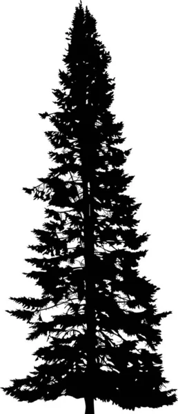 Illustrationen Med Fir Tree Silhuett Isolerad Vit Bakgrund — Stock vektor