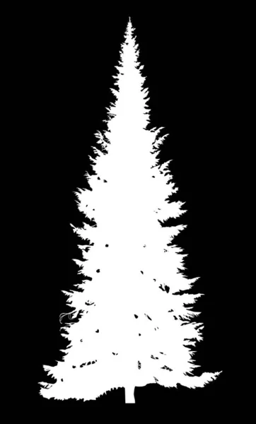 黒の背景に分離されたモミの木のシルエット イラスト — ストックベクタ