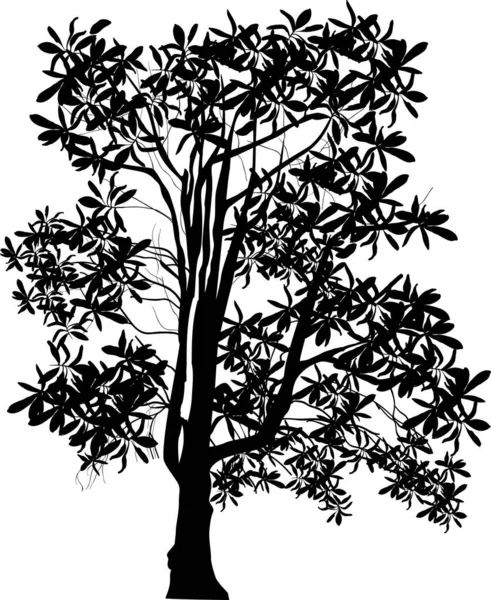 白い背景に大きな木が孤立したイラスト — ストックベクタ