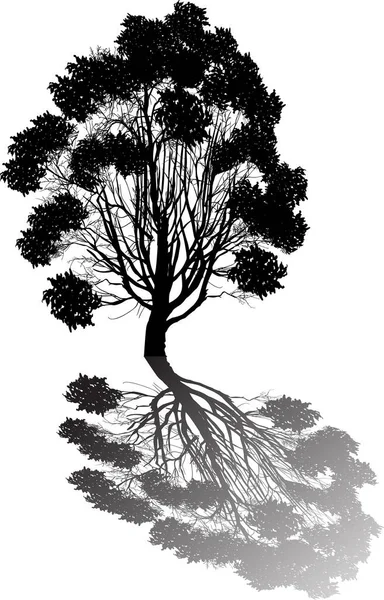 Illustration Med Svart Träd Isolerad Vit Bakgrund — Stock vektor