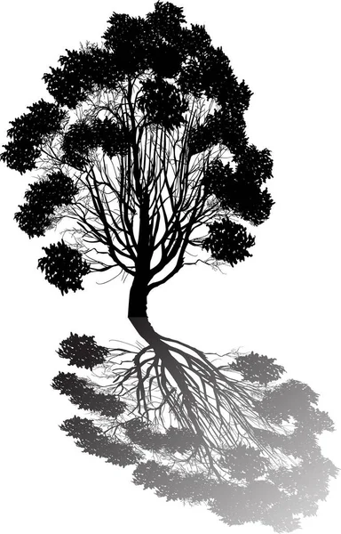 Ilustración Con Árbol Negro Aislado Sobre Fondo Blanco — Archivo Imágenes Vectoriales