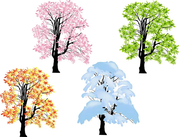 Ilustracja Czterech Sezonów Drzew Białym Tle Białym Tle — Wektor stockowy