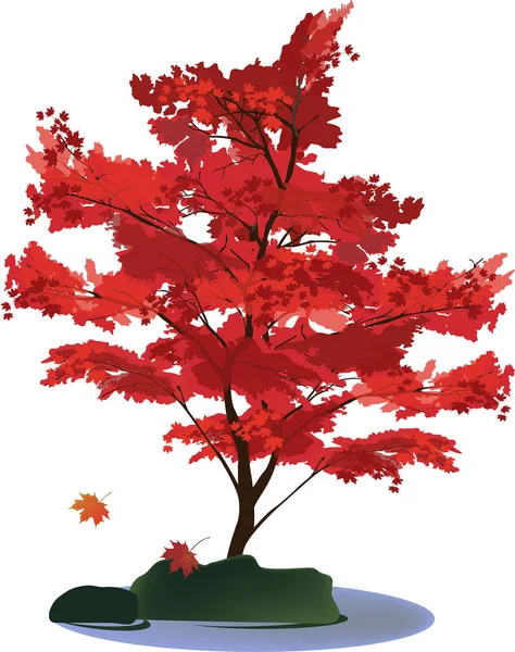 白い背景に赤いカエデの木が孤立したイラスト — ストックベクタ