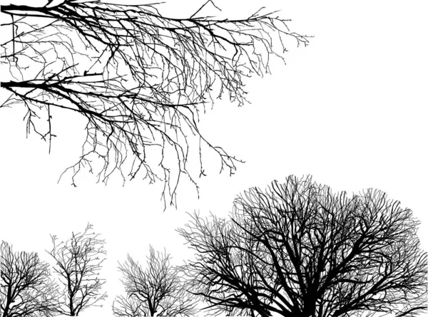 Illustration Trees Late Autumn Isolated White Background — ストックベクタ