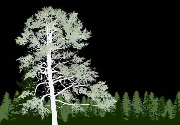 Illustrazione Con Foresta Verde Isolata Sfondo Nero — Vettoriale Stock