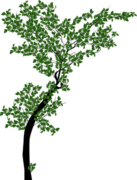 Ilustracja Wth Zielone Drzewo Odizolowane Białym Tle — Wektor stockowy