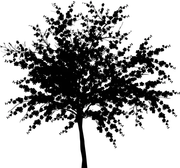 Иллюстрация Большим Деревом Изолированным Белом Фоне — стоковый вектор