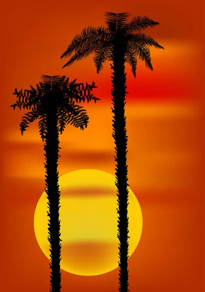 Illustratie Met Palmbomen Rode Gele Zonsondergang Achtergrond — Stockvector
