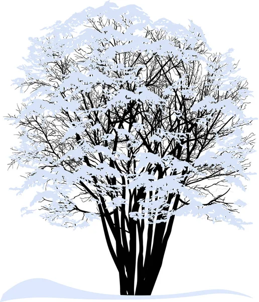 Illustration Tree Snow Isolated White Background — Stockový vektor