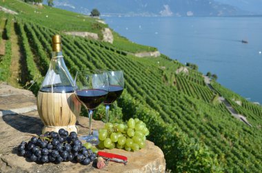 kırmızı şarap ve üzüm lavaux bölgedeki bağ Teras,
