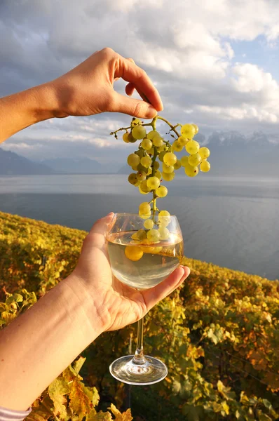 Weinglas in der Hand gegen Weinberge in der Region Lavaux, Schweiz — Stockfoto