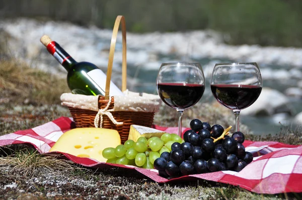 Red wine, cheese and grapes served at a picnic. Verzasca valley, — Stock Photo, Image