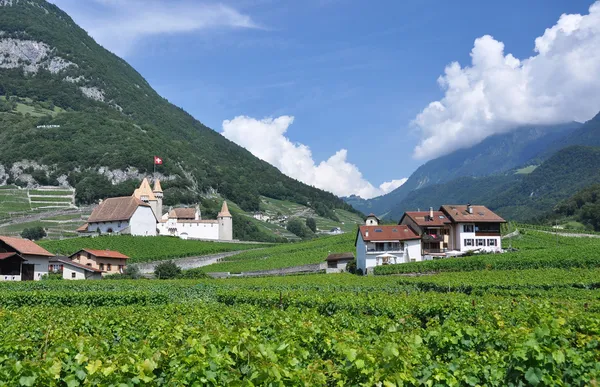 Chateau d 'aigle, Schweiz — Stockfoto