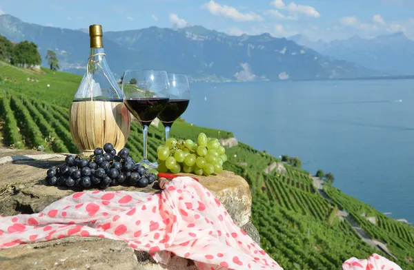 Rode wijn en druiven op het terras van de wijngaard in lavaux-gebied, — Stockfoto