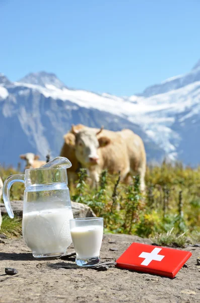 Švýcarská čokoláda a džbán mléka na alpské louce. Švýcarska — Stock fotografie