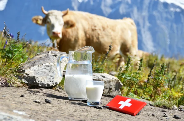 Cioccolato svizzero e brocca di latte sul prato alpino. Svizzera — Foto Stock