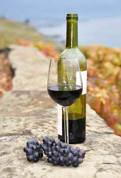 Glass of red wine and a bottle on the terrace of vineyard in Lav — Stock Photo, Image