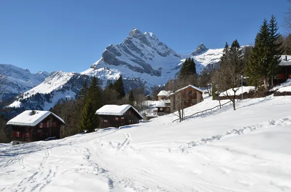 Braunwald, Suiza — Foto de Stock