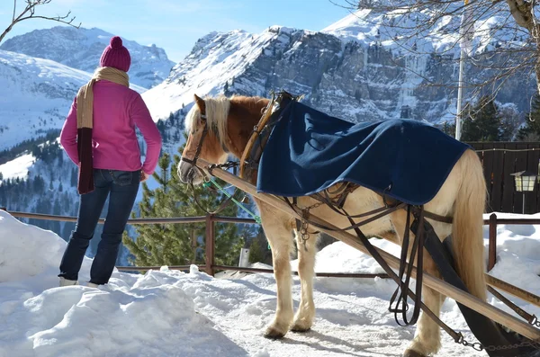 Menina e um cavalo contra o panorama alpino — Fotografia de Stock