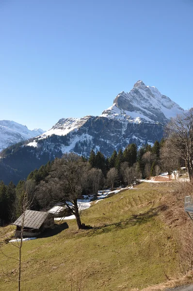 Våren i braunwald, berömda schweiziska skidorten — Stockfoto