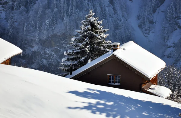 Alpine Landschaft, Braunwald, Schweiz — Stockfoto