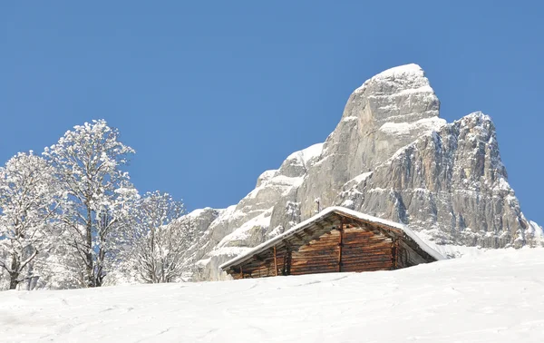 Alpine omgivelser. Braunwald, Sveits – stockfoto