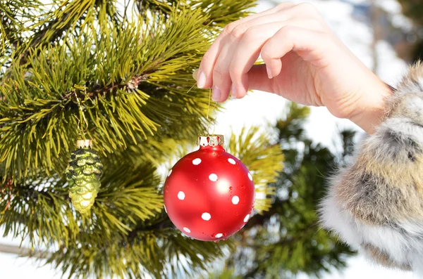 Kerstboom — Stockfoto