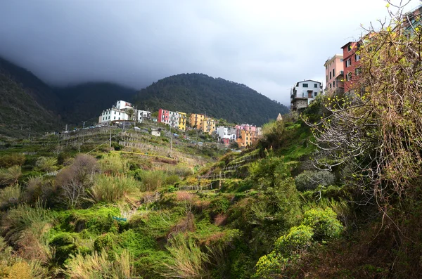 Corniglia faluban. Cinque terre, Olaszország. — Stock Fotó