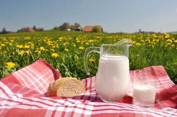 Milchkrug und Brot auf der Frühlingswiese. emmental region, swi — Stockfoto