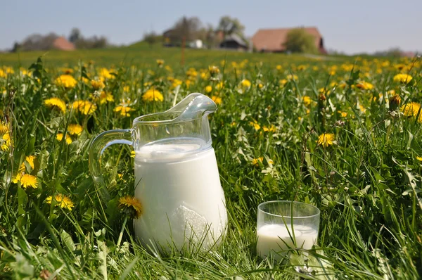 Jug of milk on the meadow. Emmental region, Switzerland — Stock Photo, Image