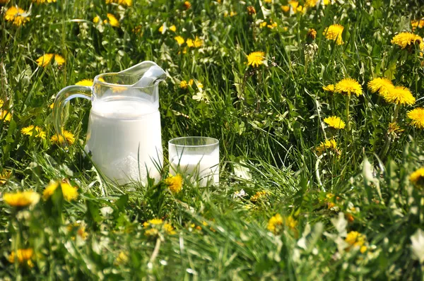 Jarra de leche en el prado — Foto de Stock