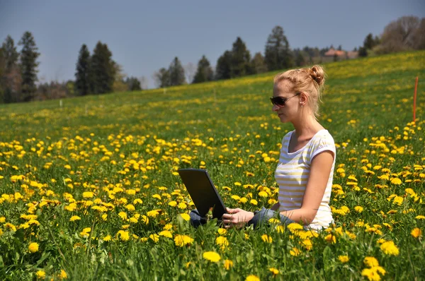 Bahar çayır üstünde a laptop ile kız — Stok fotoğraf